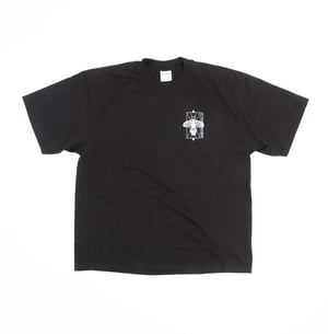 R6II0262